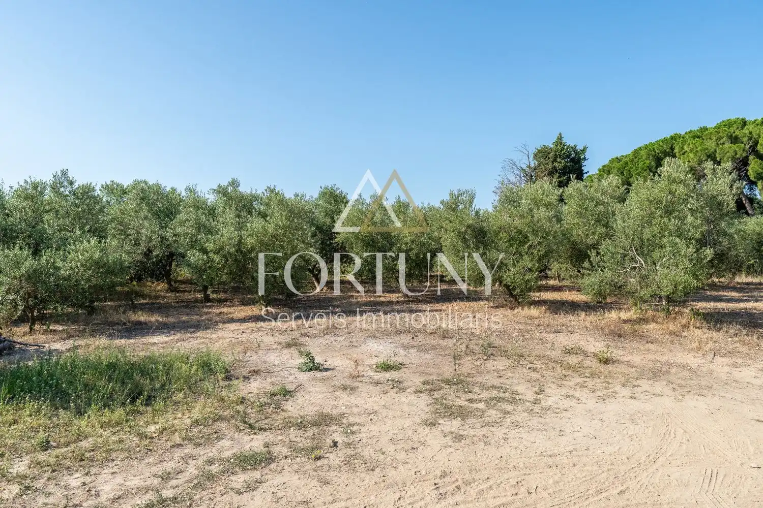 House with pool for sale in Riudoms, imagen 34