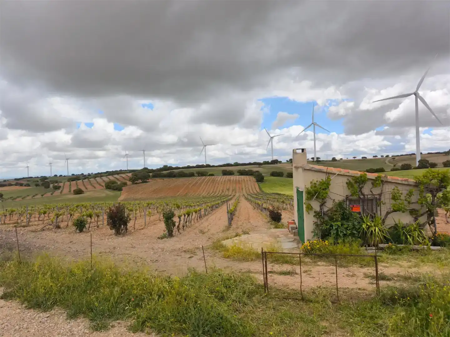 Land for sale in Munera