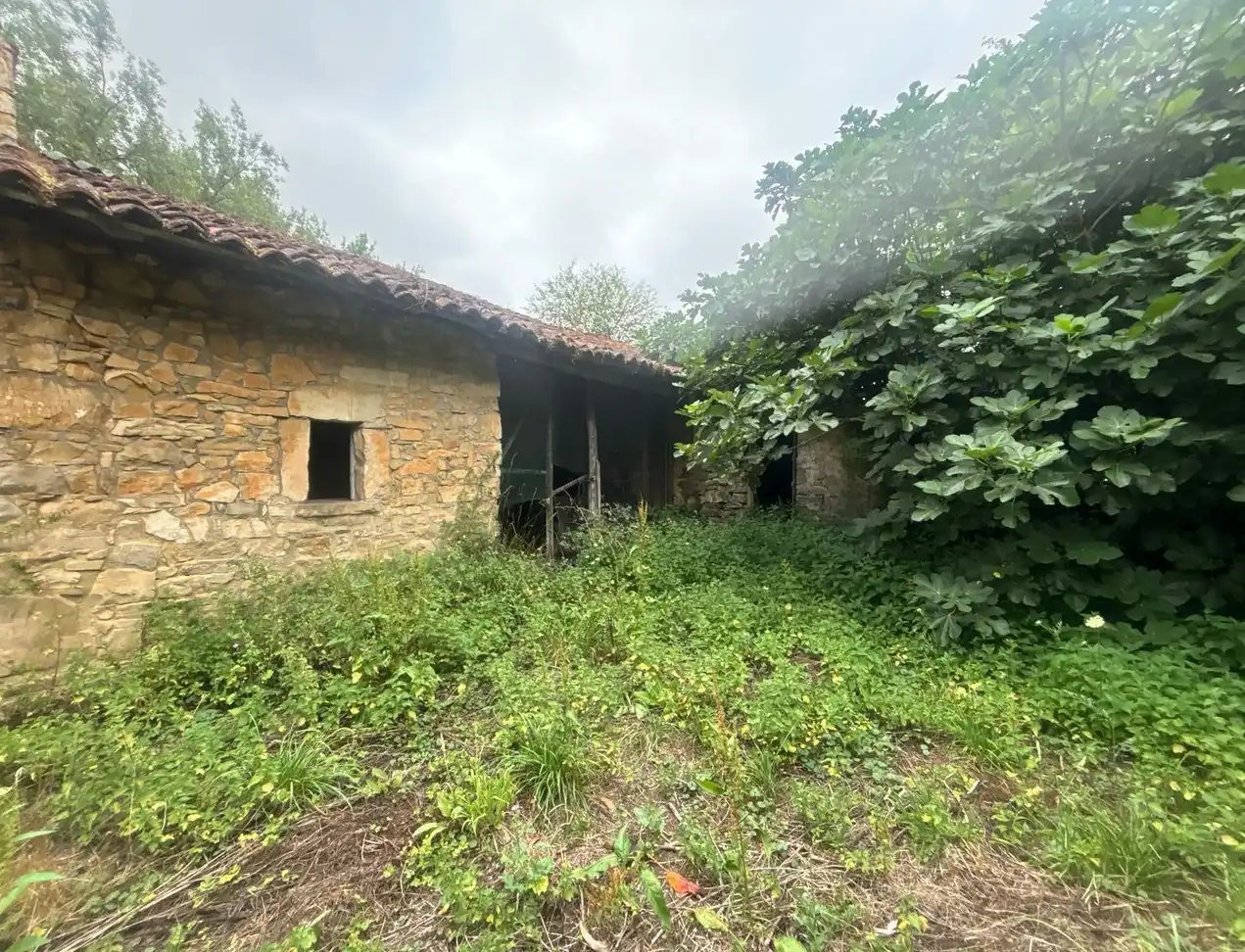 Finca rústica en venda en Gijón  amb Jardí privat