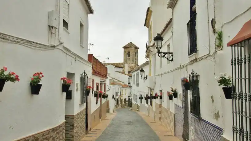 Terreni e lotti in vendita a Manilva Pueblo, imagen 27
