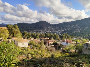 Lands and plots for sale in MIGUEL CERVANTES 11