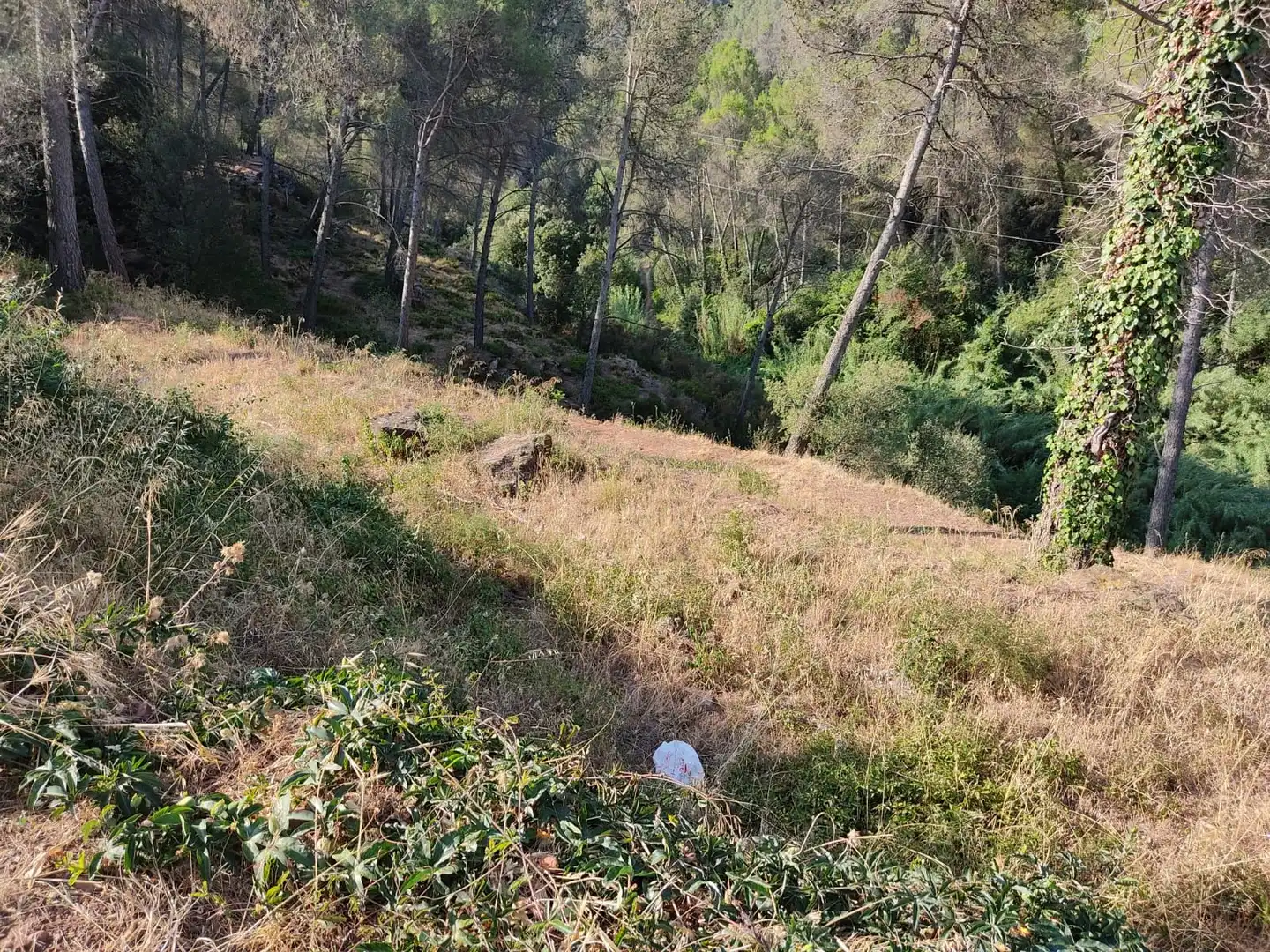 Residential for sale in Castellví de Rosanes