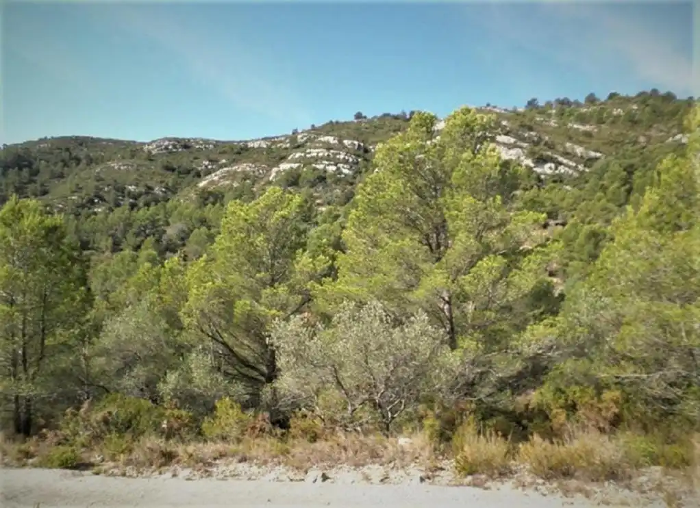 Rustikales Grundstück zum Verkauf in ZONA DISSEMINAT DEL COLL DE LALBA, imagen 15