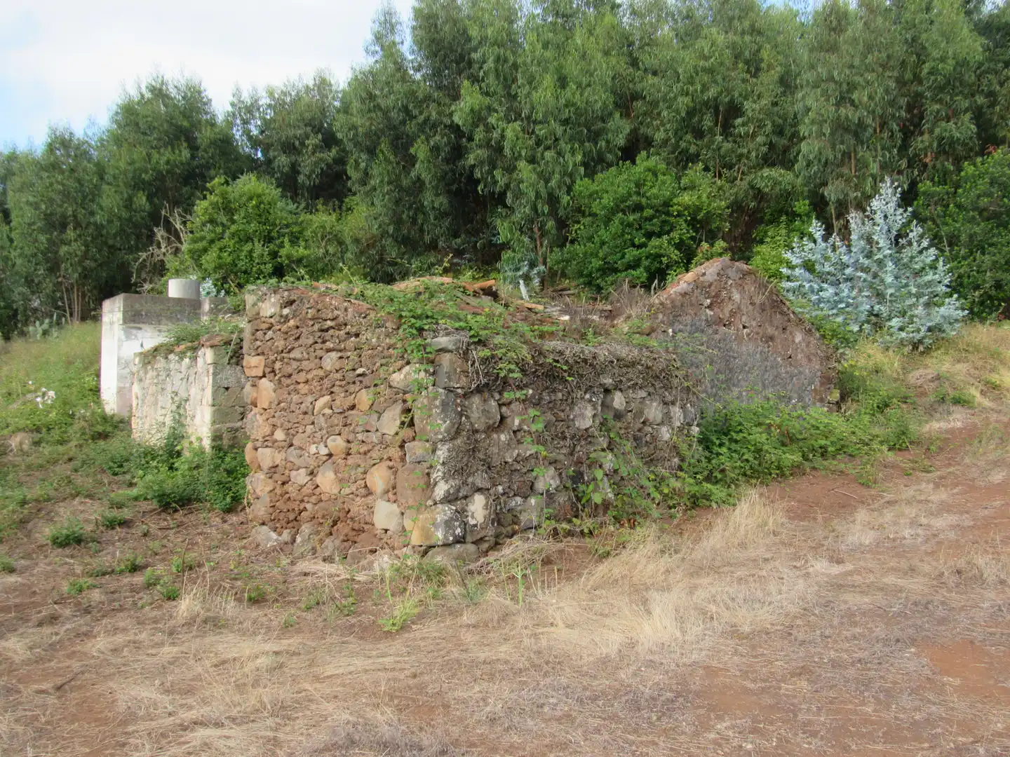 Land for sale in Moya (Las Palmas)