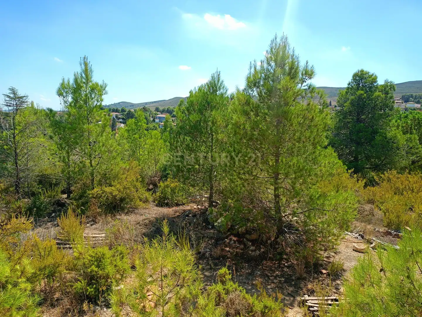 Casa in vendita a ALTURY 4 3 Suelo, 4, imagen 33