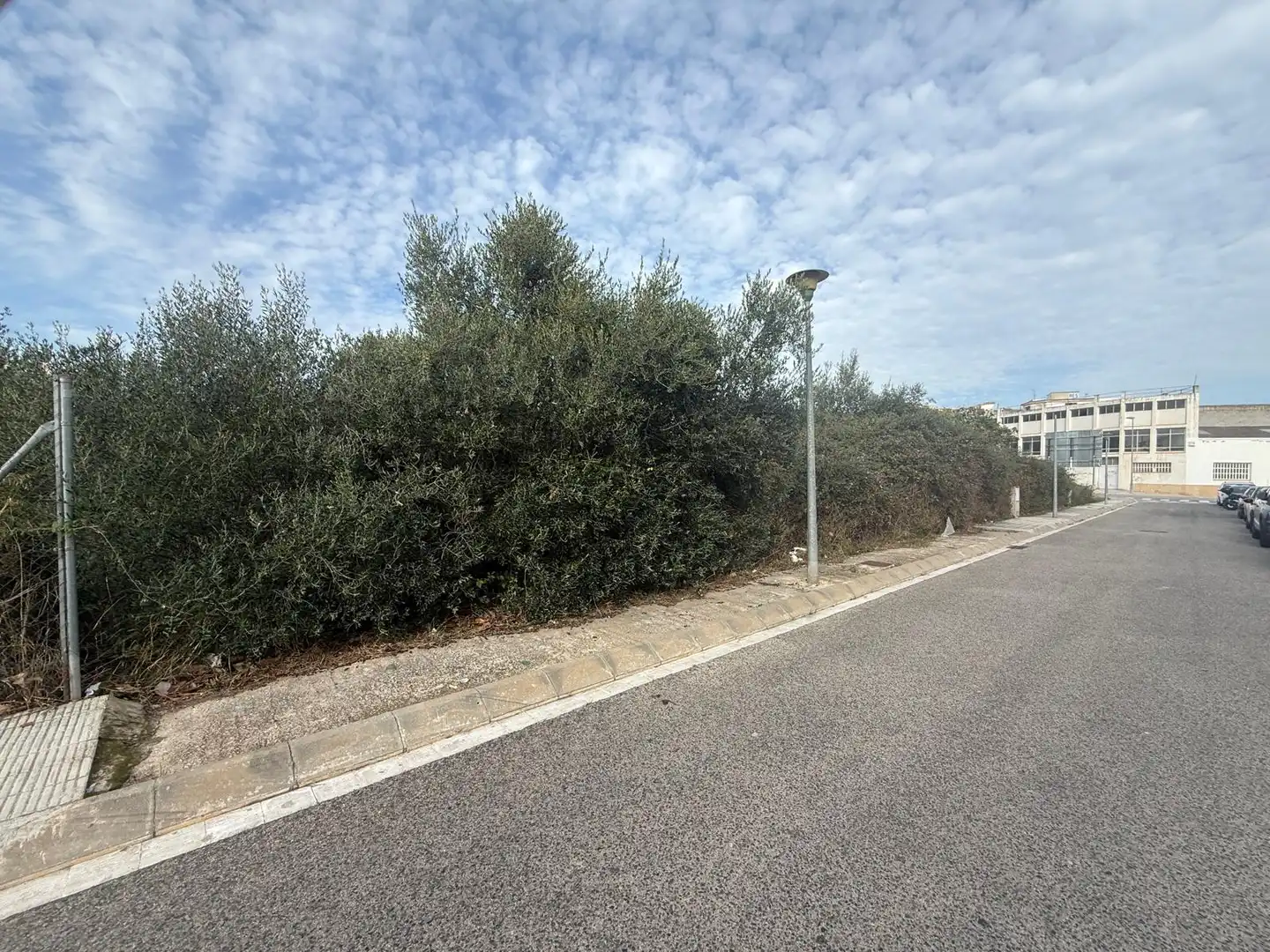 Wohnbaugrundstück zum Verkauf in Carrer Francesc de Riera 6, imagen 6