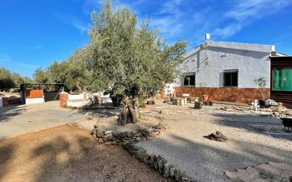 Exterior view of House or chalet for sale in Roquetes  with Terrace