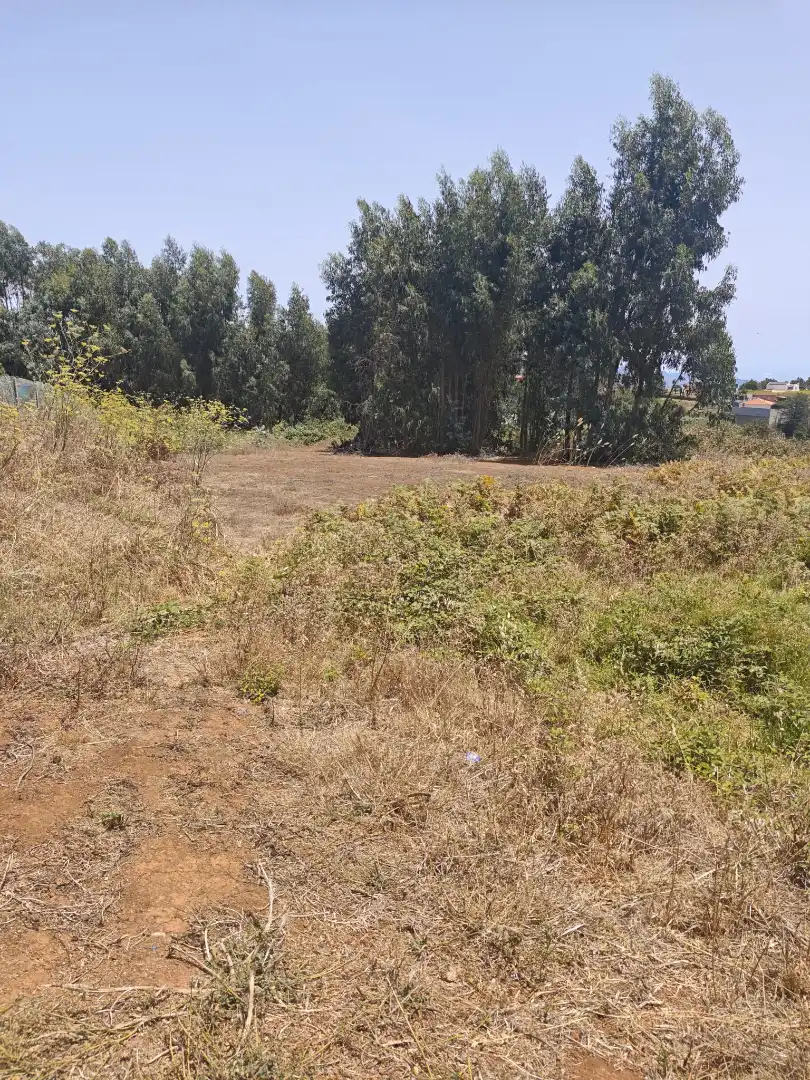 Grundstücke zum Verkauf in Calle Bethencourt, 25, La Esperanza - Llano del Moro