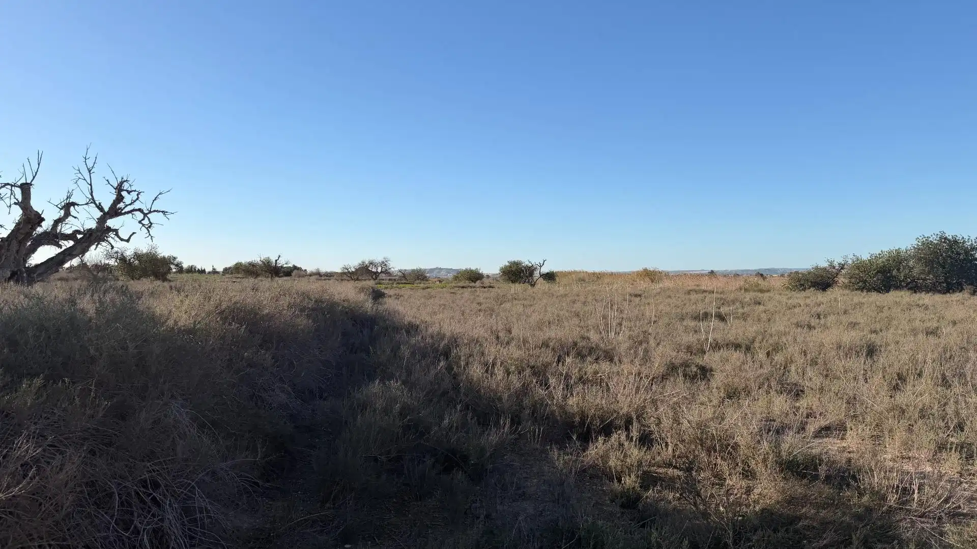 Terreno residencial en venta en La Marina, imagen 17