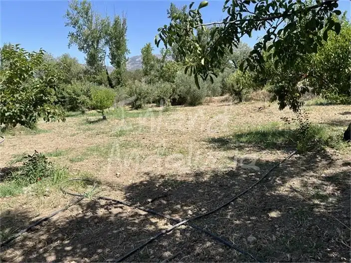 Detached house with pool for sale in Alcaudete, imagen 15