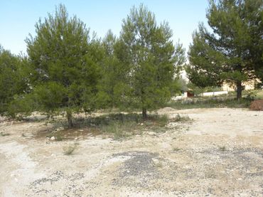 Terreno residenziale in vendita a Calle El Llano