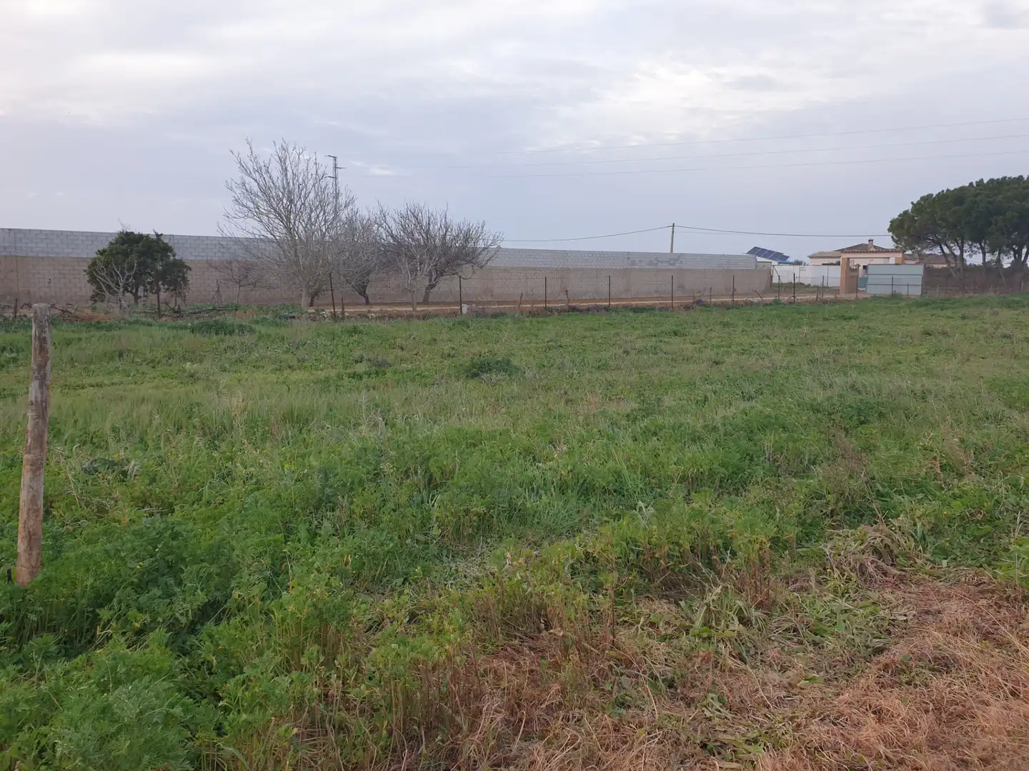 Terreny rústic en venda a Los Franceses – La Vega, imagen 4