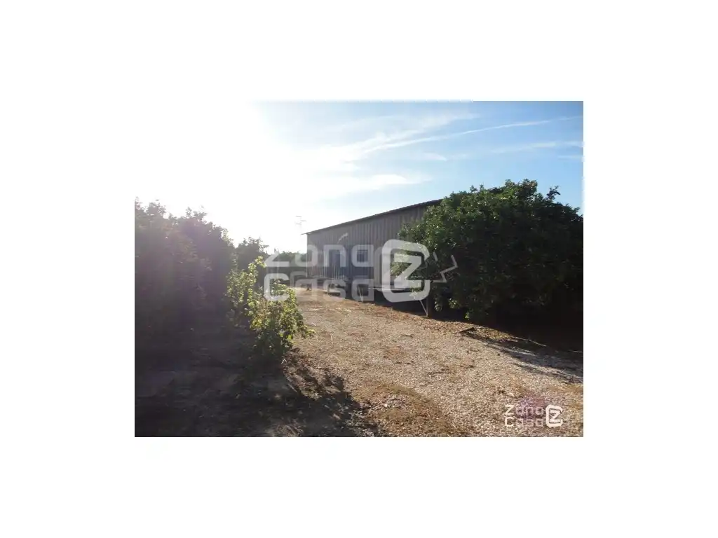 Chalet en venta en Albalat de la Ribera, imagen 2