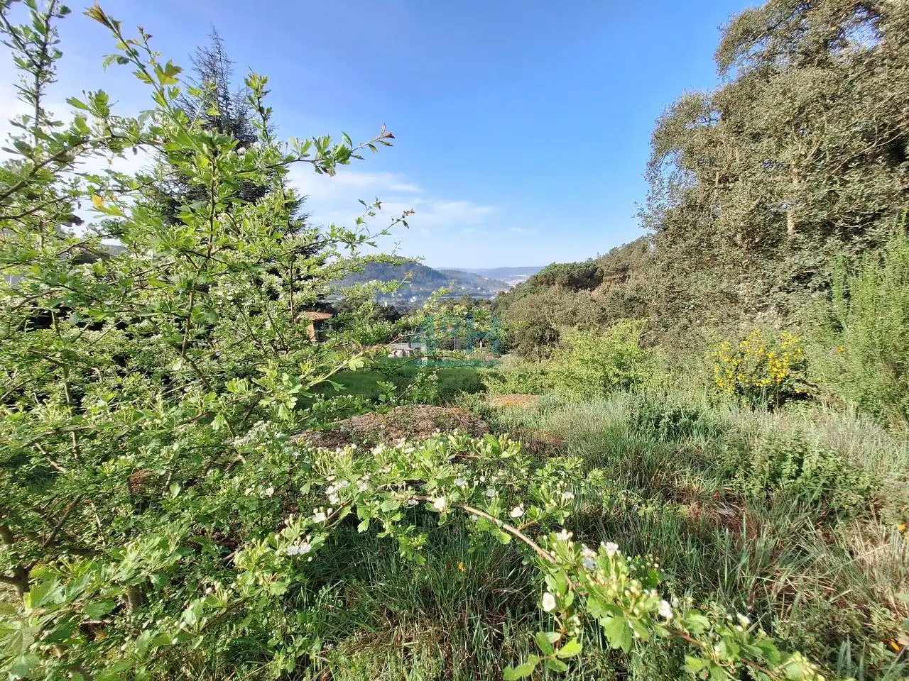 Terreni e lotti in vendita a O Pereiro de Aguiar, imagen 13
