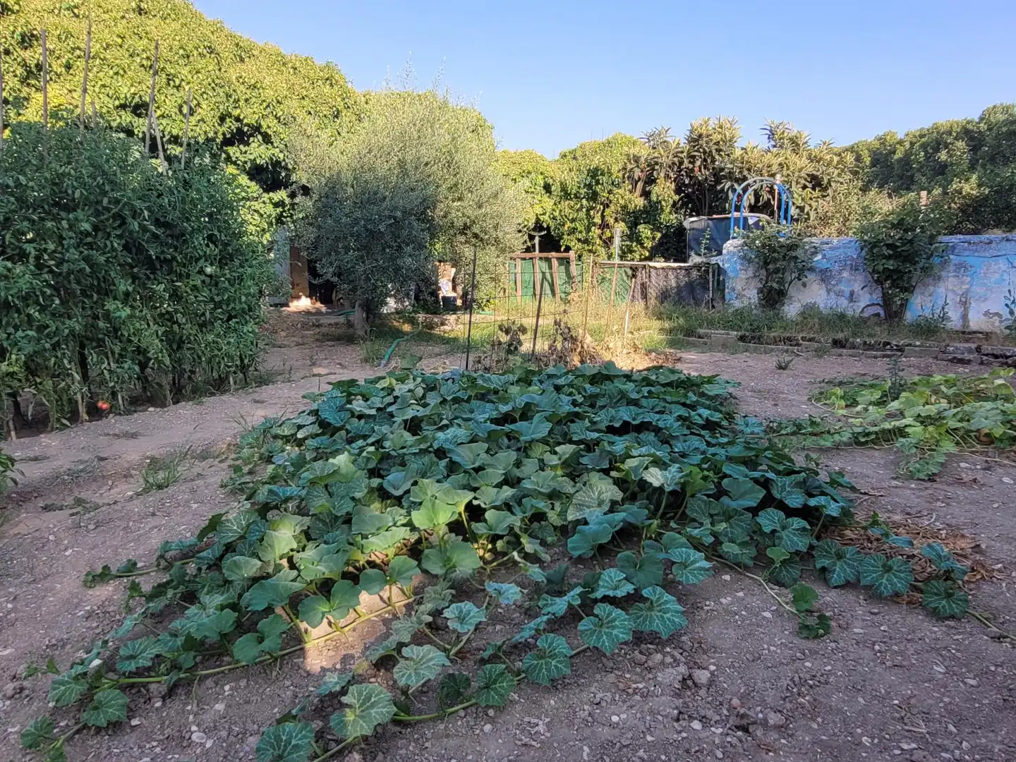 Terrenos y solares en venta en de Codis, imagen 12