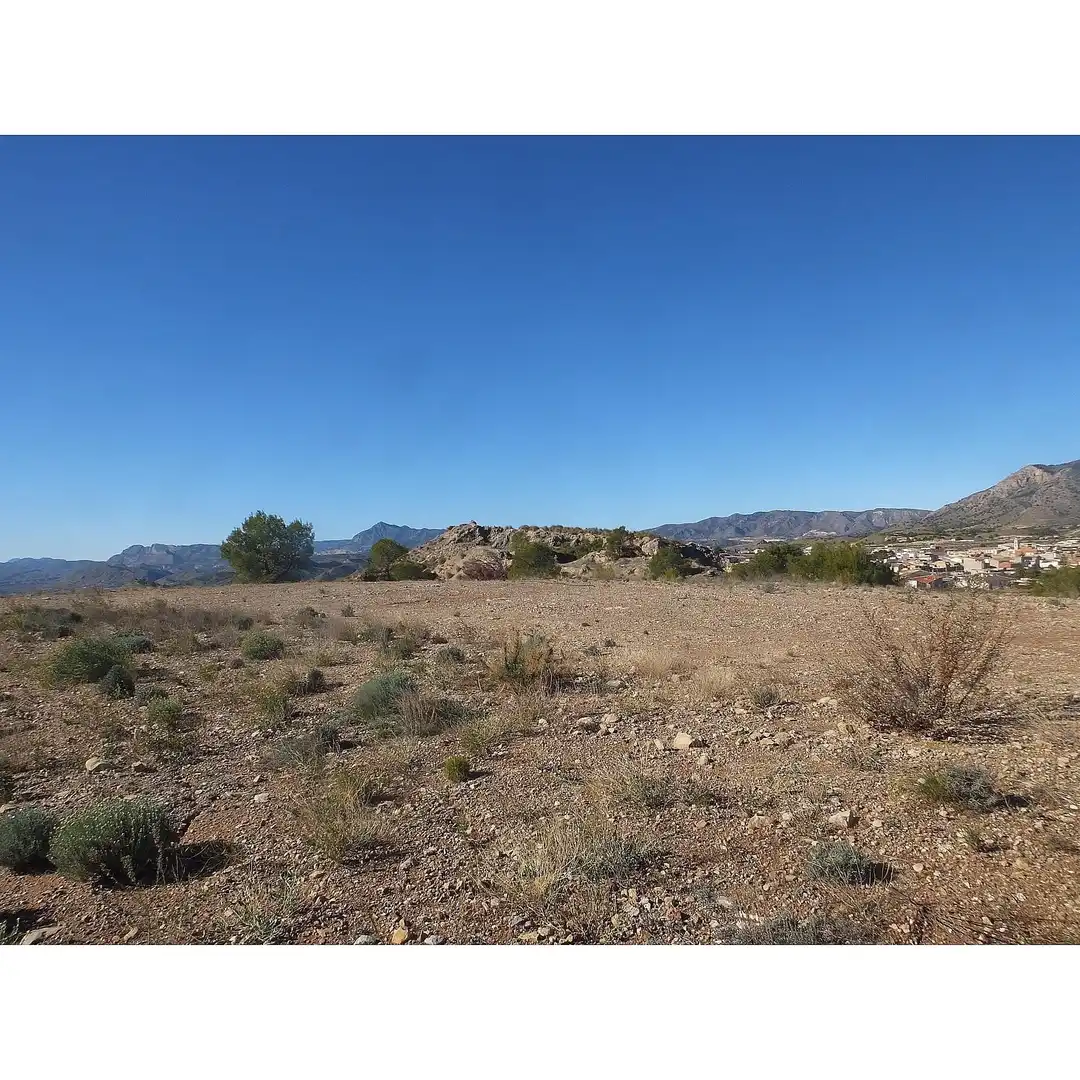Lands and plots for sale in Abanilla, imagen 12