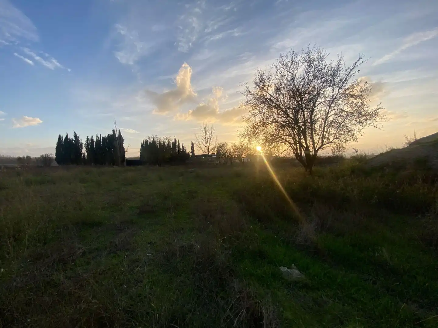 Terreni e lotti in vendita a Atarfe, imagen 18