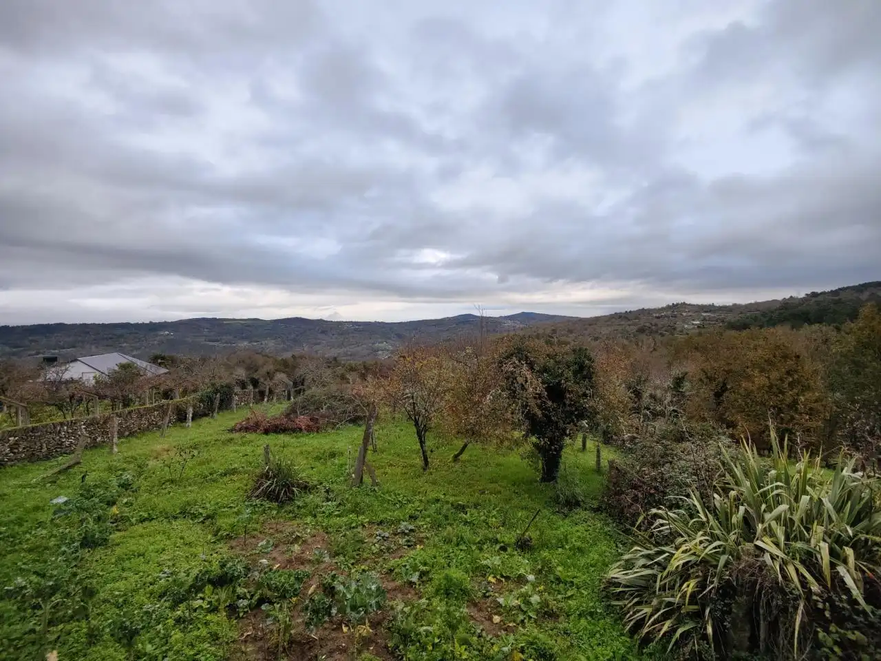 Country homes for sale in A Merca    with Private garden and Balcony