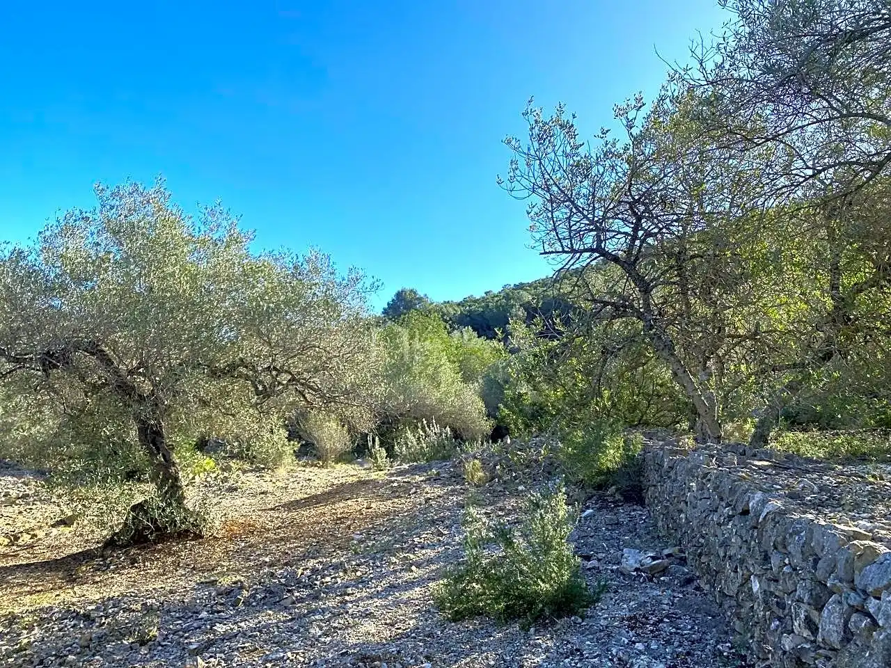 Terreno rustico in vendita a Aubachs, imagen 17