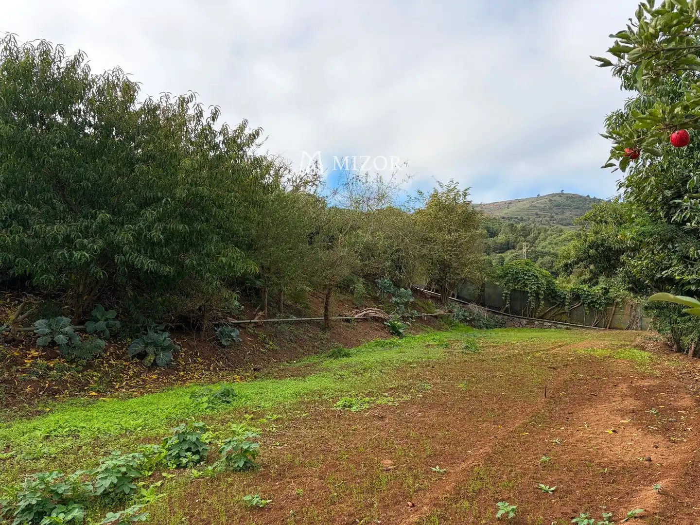 Rural land for sale in el rodeo, imagen 25