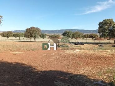 Terreni e lotti in vendita a Santa María  - Pío XII