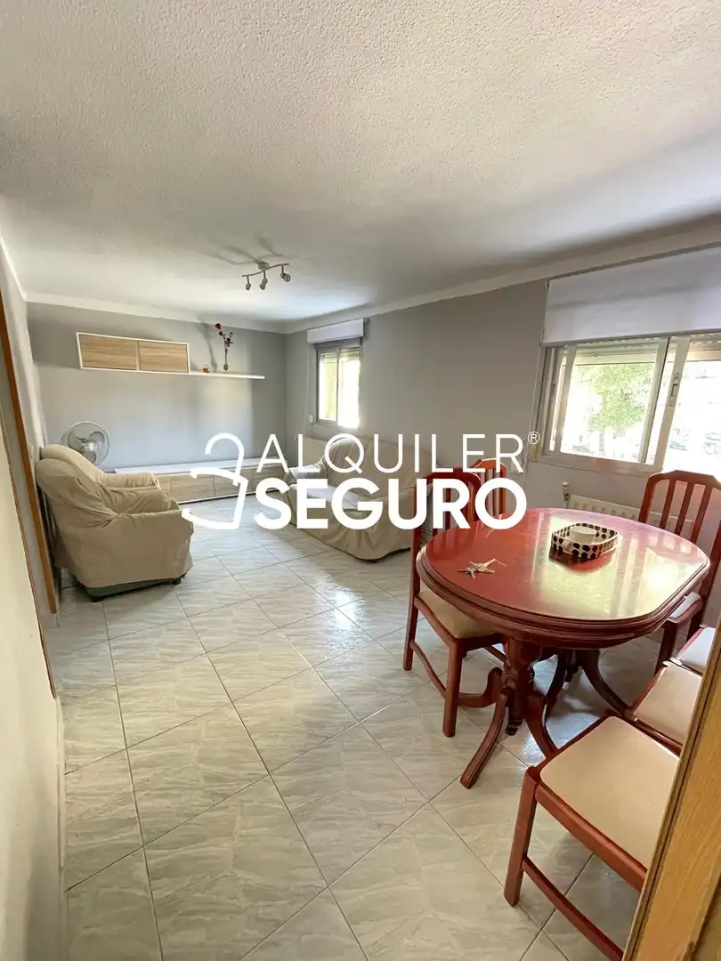 Sala de estar de Piso de alquiler en Madrid con Calefacción, Terraza y Amueblado