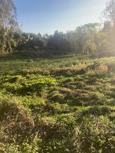 Land for sale in Arteixo