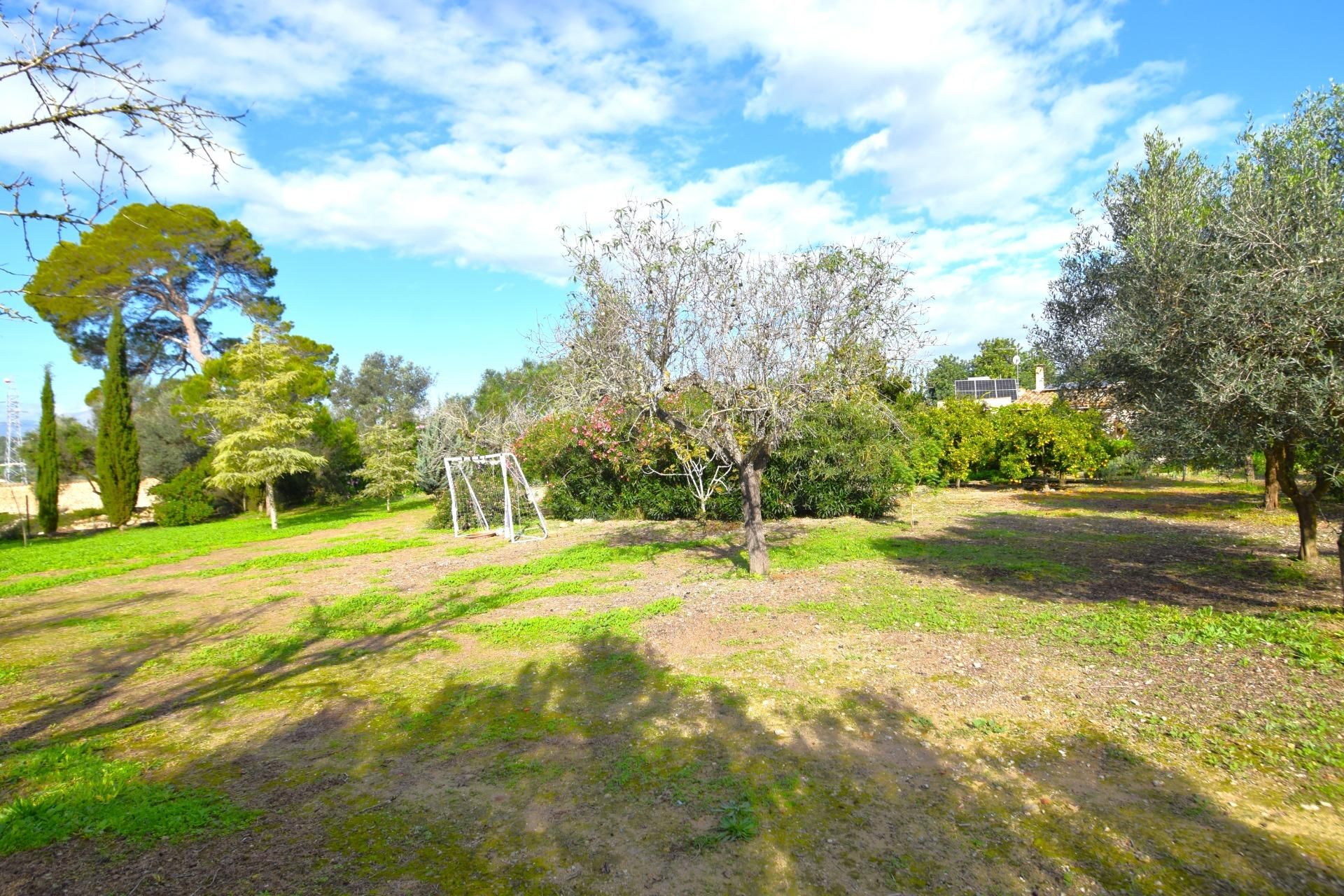Jardí de Finca rústica en venda en Muro amb Terrassa i Alarma