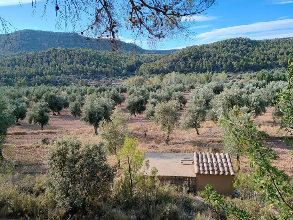 Country homes for sale in Fuentespalda
