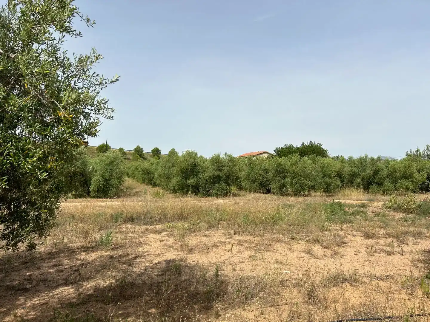 Finca rústica en venda en Vinyols i els Arcs amb Moblat