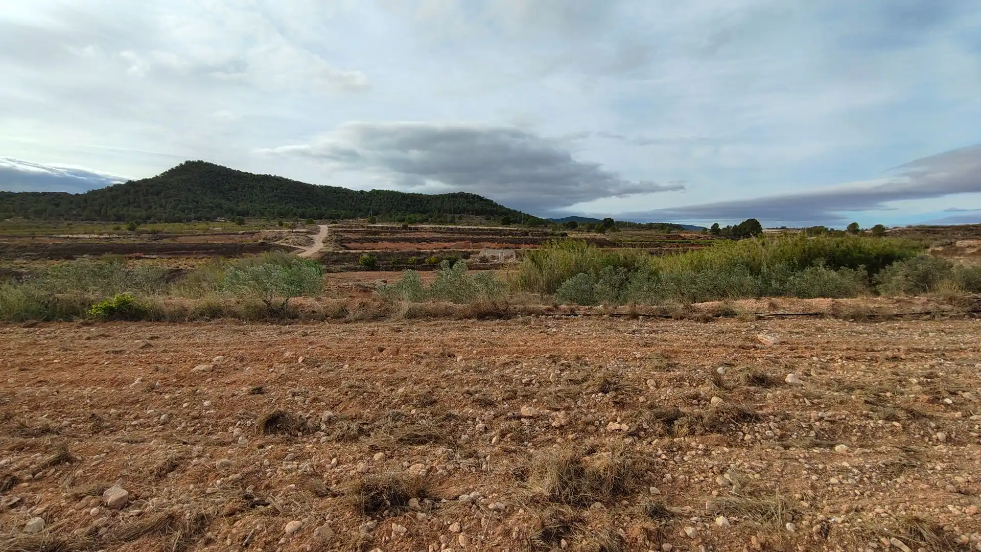 Rural land for sale in Monóvar  / Monòver