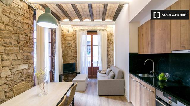 Piso en Alquiler en Sant Pere, Sta. Caterina i la Ribera