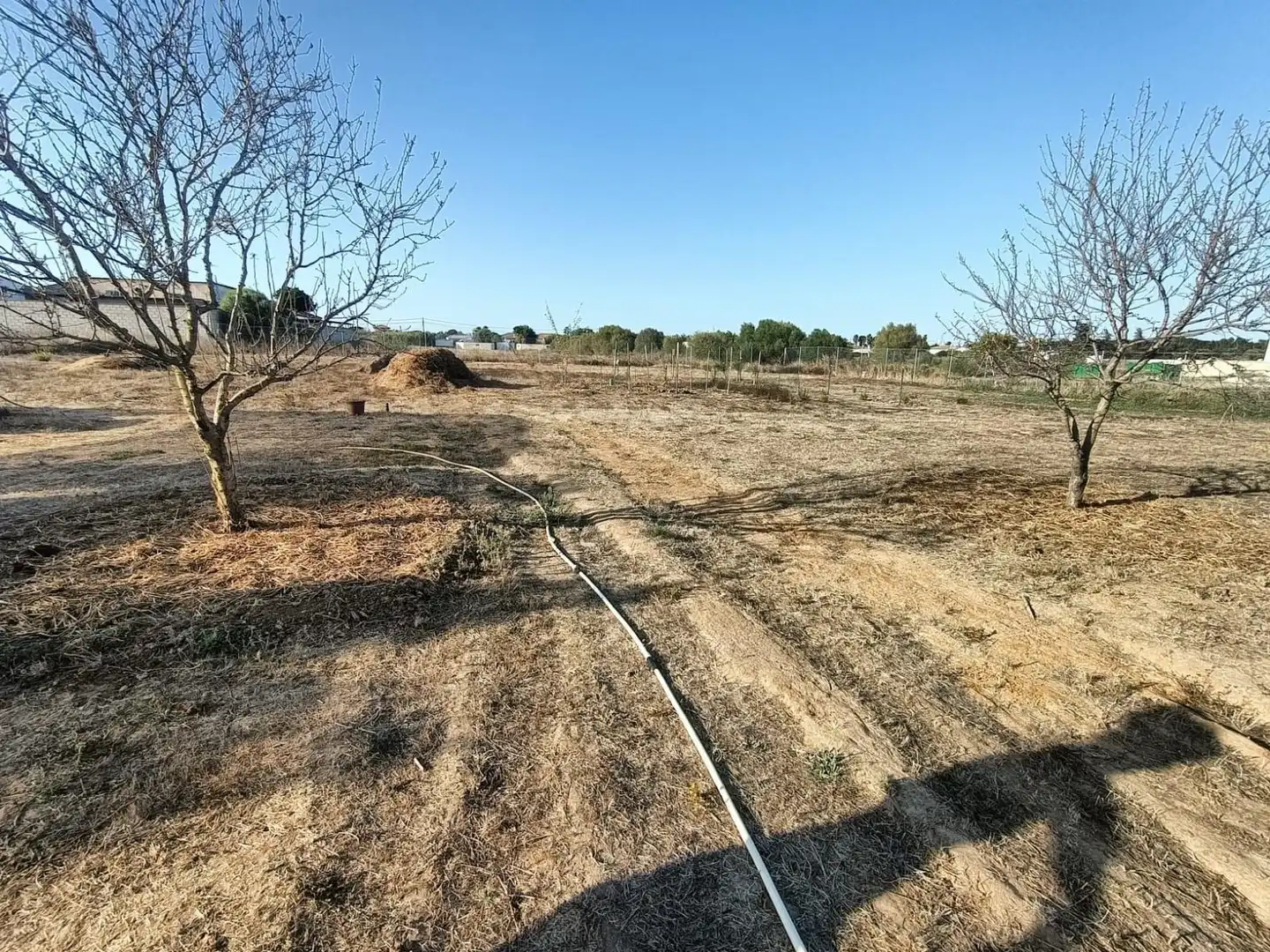 Chalet con piscina en venta en Las Lagunas - Campano, imagen 13