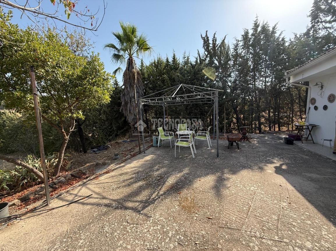 Terrace of Land for sale in Rus