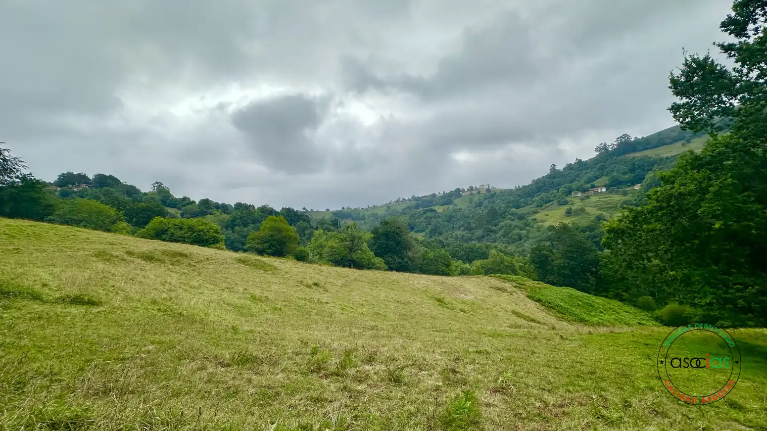 Terreno rustico in vendita a Cabranes - TORAZO, imagen 4