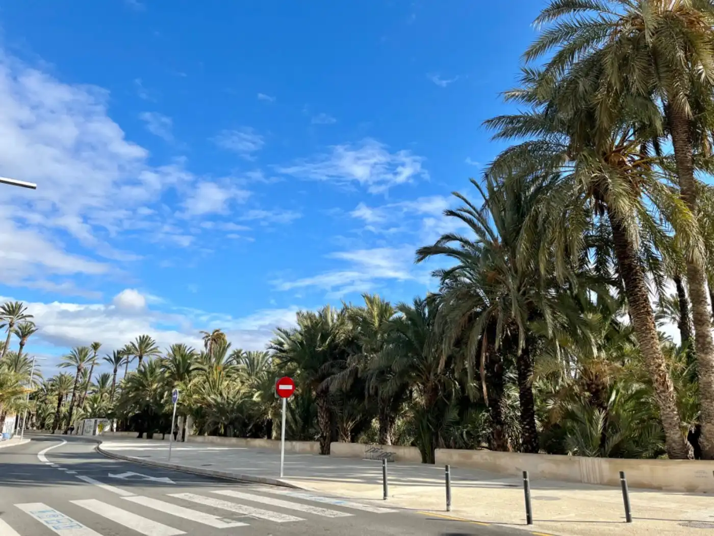 Exterior view of Ground floor for sale in Elche / Elx