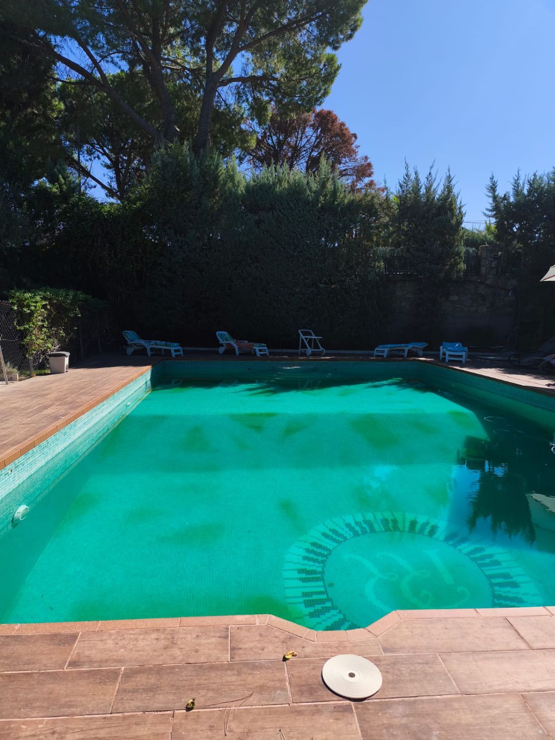 Swimming pool of Flat to rent in Villaviciosa de Odón  with Air Conditioner, Heating and Terrace