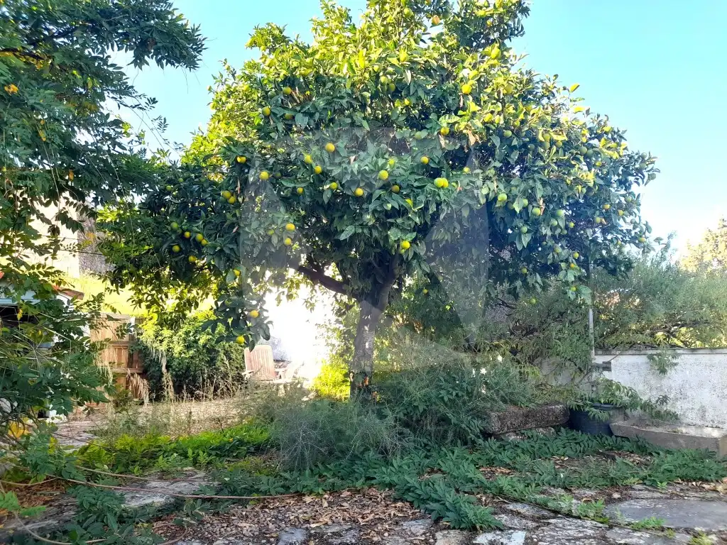 Houses for sale in Calle Puerta Valencia, Alburquerque