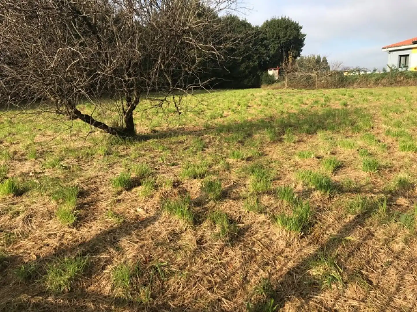 Terreno residenziale in vendita a Verdicio - Bañugues - Cabo Peña, imagen 7