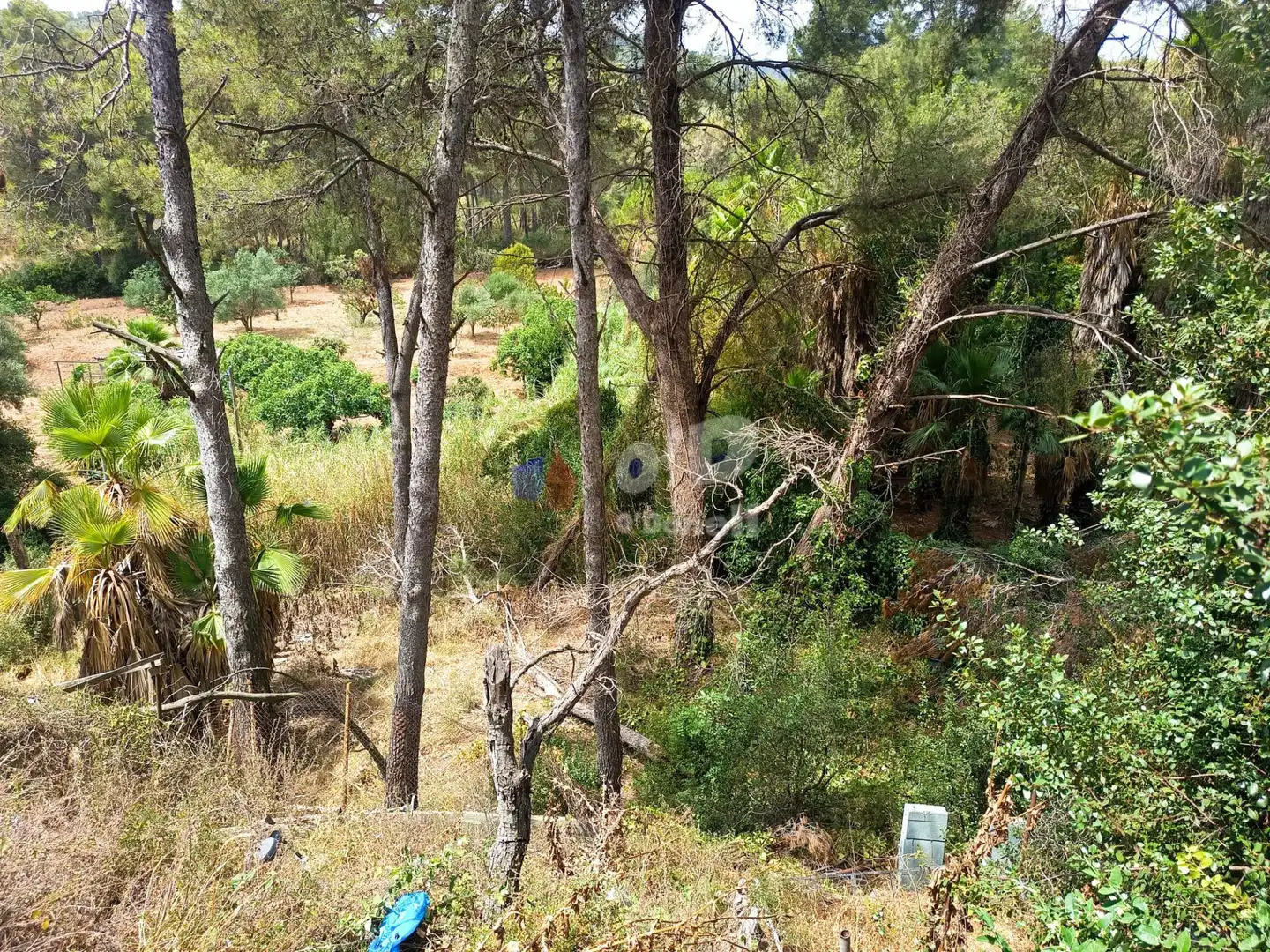 Casa amb jardí en venda a Sant Climent de Llobregat, imagen 8