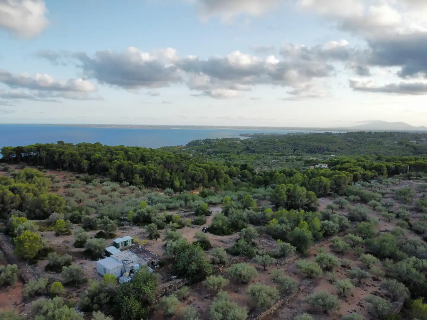 Maison rustique à vendre à Roques Daurades - L'Estany, imagen 27