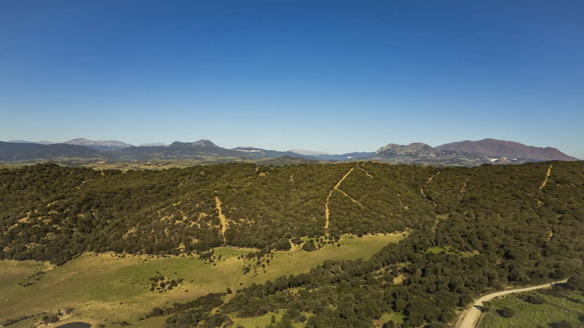 Finca rústica en venda en San Martín del Tesorillo amb Aire condicionat, Jardí privat i Terrassa