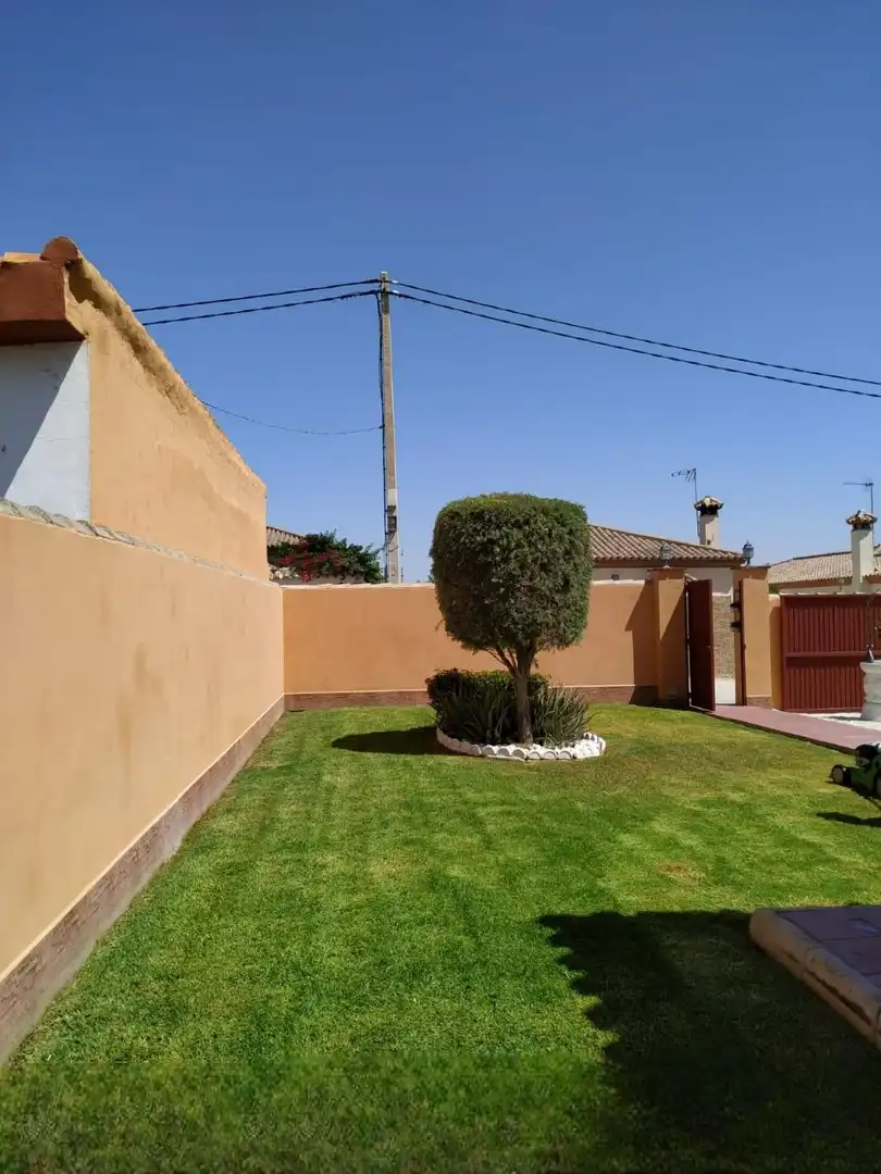 Detached house with garden for sale in Camino Camino del Pozo Boyal, imagen 24