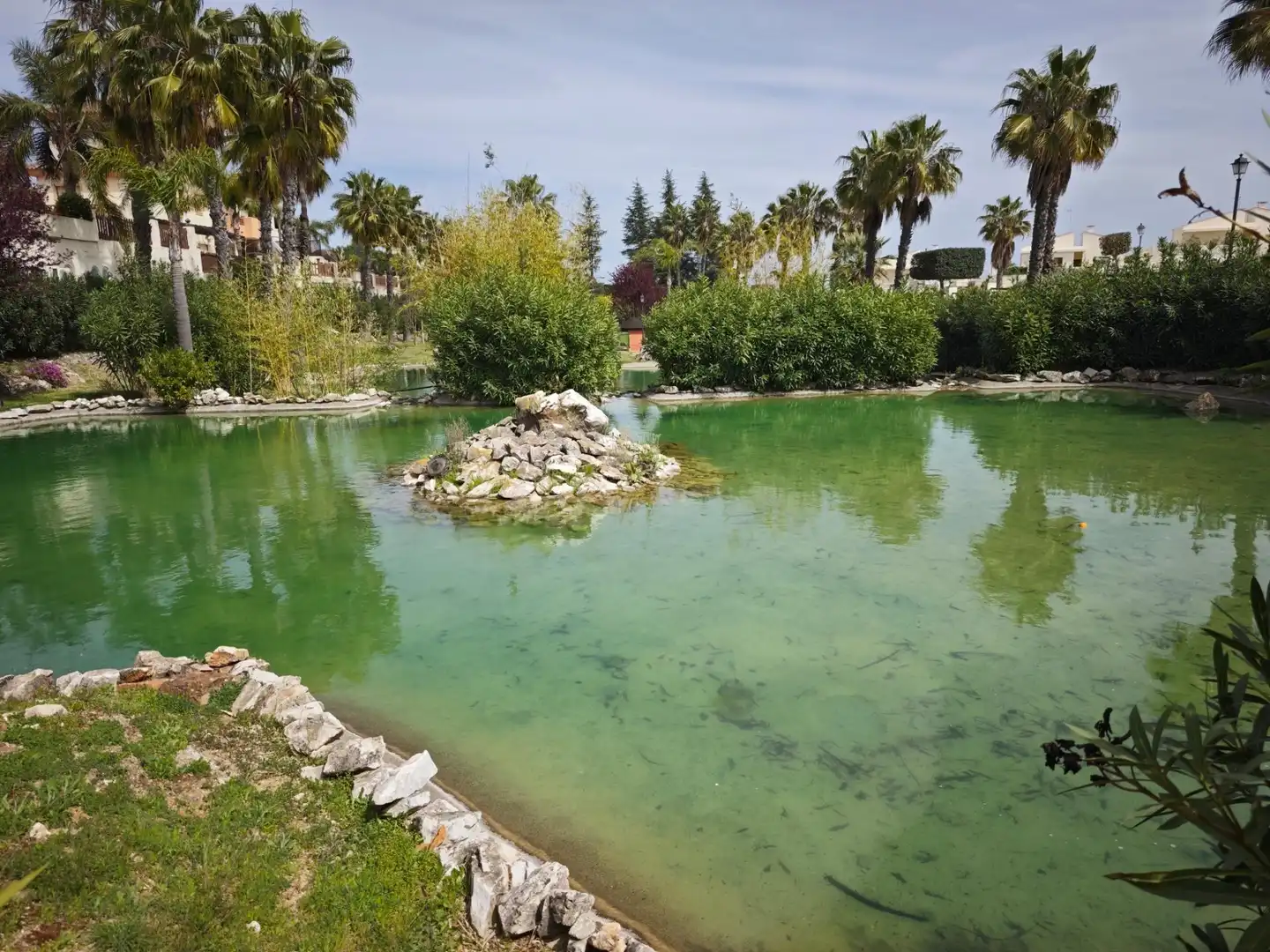 Swimming pool of Detached homes for sale in Coín  with Terrace, Storage room and Swimming Pool