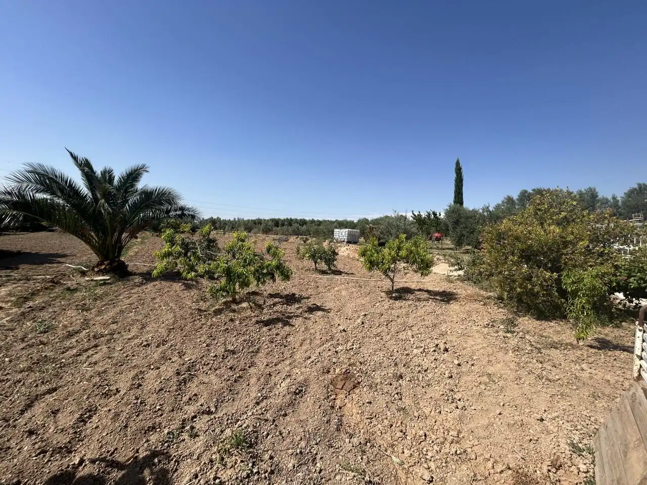 Country homes for sale in Corella  with Private garden, Terrace and Storage room