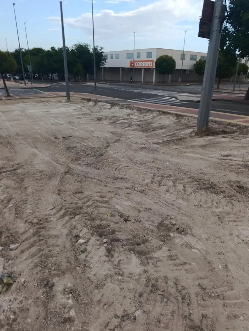 Lands and plots for sale in Bullas, imagen 5