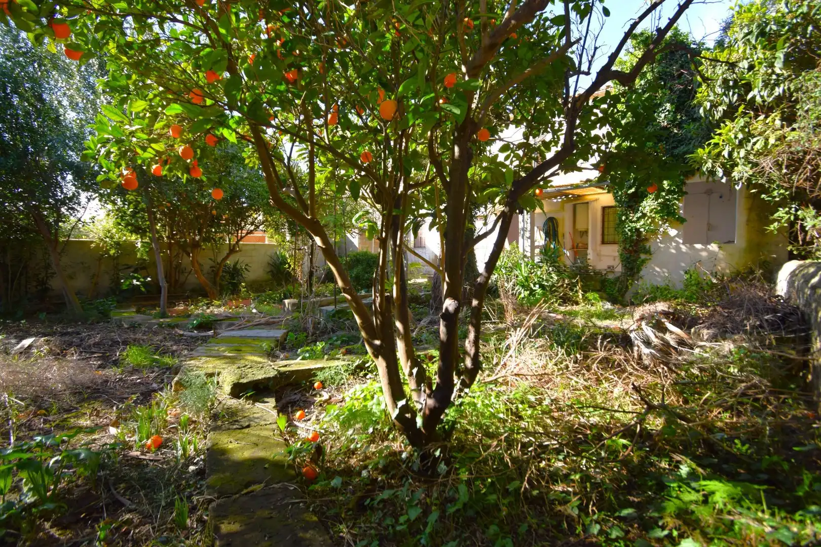 Casa con jardín en venta en Campanet, imagen 23
