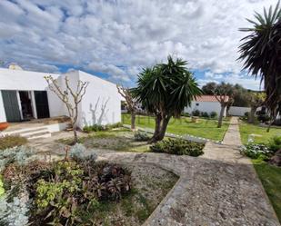 Jardí de Casa o xalet en venda en Alaior amb Piscina comunitària