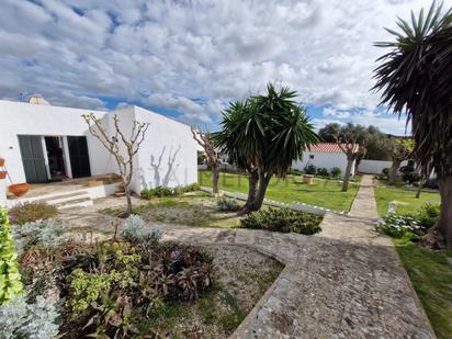 Garden of House or chalet for sale in Alaior  with Community pool