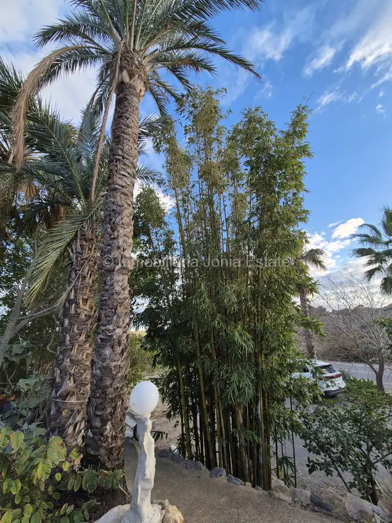 Villa con piscina in vendita a Coloma, imagen 37